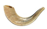 Shofar de carneiro